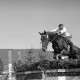 ARH NL Dierssen 1050/0012, Reitturnier, Springe