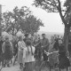 Archiv der Region Hannover, ARH NL Dierssen 1073/0007, Versteigerung der städtischen Apfelbäume, Springe
