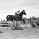 ARH NL Dierssen 1074/0005, Reitturnier, Eldagsen