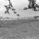 ARH NL Dierssen 1078/0013, Rübenacker, Rössing