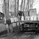 Archiv der Region Hannover, ARH NL Dierssen 1098/0006, Milchwagen, Oldhorst