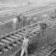 Archiv der Region Hannover, ARH NL Dierssen 1103/0002, Arbeiten an den Gleisen, Burgdorf