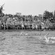 ARH NL Dierssen 1156/0009, Deutsche Wasserballmeisterschaft, Hannover