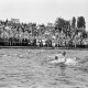 Archiv der Region Hannover, ARH NL Dierssen 1156/0012, Deutsche Wasserballmeisterschaft, Hannover
