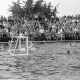 Archiv der Region Hannover, ARH NL Dierssen 1156/0013, Deutsche Wasserballmeisterschaft, Hannover
