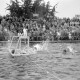 ARH NL Dierssen 1156/0014, Deutsche Wasserballmeisterschaft, Hannover