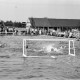 Archiv der Region Hannover, ARH NL Dierssen 1157/0005, Deutsche Wasserballmeisterschaft, Hannover