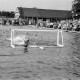 ARH NL Dierssen 1157/0009, Deutsche Wasserballmeisterschaft, Hannover
