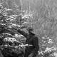 Archiv der Region Hannover, ARH NL Dierssen 1163/0006, Weihnachtsbaumernte, Springe