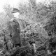 Archiv der Region Hannover, ARH NL Dierssen 1163/0010, Weihnachtsbaumernte, Springe