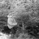 Archiv der Region Hannover, ARH NL Dierssen 1163/0012, Weihnachtsbaumernte, Springe