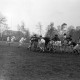 ARH NL Dierssen 1175/0016, Rugby Deutschland - Belgien, Hannover