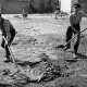 Archiv der Region Hannover, ARH NL Dierssen 1183/0009, Schlammbeseitigung nach Unwetter, Völksen
