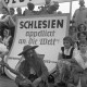 Archiv der Region Hannover, ARH NL Dierssen 1192/0004, Schlesiertreffen, Hannover