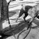 ARH NL Dierssen 1204/0015, Hund "Bobby" von Mensenkamp mit Wasserstrahl, Springe