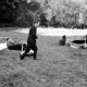 ARH NL Dierssen 1209/0019, Brauchbarkeitsprüfung für Hunde-Wettkämpfe, Hasperde