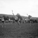 Archiv der Region Hannover, ARH NL Dierssen 1211/0007, Turnerinnen beim Turnerfest, Springe