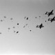 Archiv der Region Hannover, ARH NL Dierssen 1214/0009, 1000 Fallschirmjäger (alliierte Manöver), Nienburg/Weser
