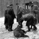 Archiv der Region Hannover, ARH NL Dierssen 1225/0010, "Diplomaten-Jagd", Springe