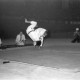 ARH NL Dierssen 1226/0008, "Fest der Sportpresse": Judo mit japanischem Weltmeister, Hannover