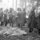 Archiv der Region Hannover, ARH NL Dierssen 1227/0017, "Diplomaten-Jagd", Springe