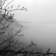 Archiv der Region Hannover, ARH NL Dierssen 1230/0019, Deisterkamm im Nebel, Springe