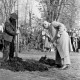 ARH NL Dierssen 1236/0007, Tag des Baumes, Springe