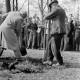 Archiv der Region Hannover, ARH NL Dierssen 1236/0009, Tag des Baumes, Springe
