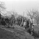 Archiv der Region Hannover, ARH NL Dierssen 1236/0012, Tag des Baumes, Springe