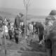 Archiv der Region Hannover, ARH NL Dierssen 1236/0015, Tag des Baumes, Springe