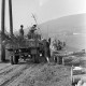 ARH NL Dierssen 1236/0018, Tag des Baumes, Springe