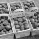 ARH NL Dierssen 1247/0006, Erdbeer-Körbe, Völksen