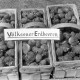 Archiv der Region Hannover, ARH NL Dierssen 1247/0007, Erdbeer-Körbe, Völksen