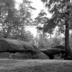 Archiv der Region Hannover, ARH NL Dierssen 1250/0012, Die Sieben Steinhäuser, Osterheide