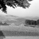 ARH NL Dierssen 1251/0007, Blick aufs Weserbergland, Polle