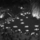 Archiv der Region Hannover, ARH NL Dierssen 1253/0019, Illumination "Goldener Sonntag" im Kurpark, Bad Pyrmont