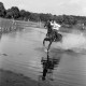 Archiv der Region Hannover, ARH NL Dierssen 1257/0022, Landespferdeleistungsschau: Geländeritt, Hannover