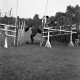 ARH NL Dierssen 1258/0006, Landespferdeleistungsschau: Geländeritt, Hannover