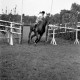 Archiv der Region Hannover, ARH NL Dierssen 1258/0007, Landespferdeleistungsschau: Geländeritt, Hannover