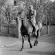 Archiv der Region Hannover, ARH NL Dierssen 1269/0019, Dreharbeiten des Films "Regina Amstetten": John Knittel, Bennigsen