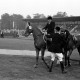 ARH NL Dierssen 1284/0012, Landes-Reitturnier, Hannover
