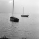 ARH NL Dierssen 1292/0022, Herbst am Steinhuder Meer, Steinhude