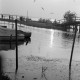 Archiv der Region Hannover, ARH NL Dierssen 1293/0004, Herbst am Steinhuder Meer, Steinhude