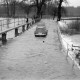 Archiv der Region Hannover, ARH NL Dierssen 1296/0003, Hochwasser, Bordenau