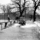 ARH NL Dierssen 1296/0007, Hochwasser, Bordenau