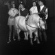 Archiv der Region Hannover, ARH NL Dierssen 1298/0003, Verdener Kinderzirkus, Hannover