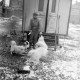 Archiv der Region Hannover, ARH NL Dierssen 1303/0020, "Hungernde Artistenhunde", Hannover