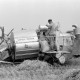 ARH NL Dierssen 1317/0031, Mähdrescher (Claas Super-Junior), Devese