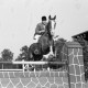 Archiv der Region Hannover, ARH NL Dierssen 1322/0035, Reitturnier mit Polizei, Hannover