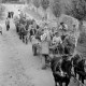 Archiv der Region Hannover, ARH NL Dierssen 1325/0006, Erntefest Baron Knigge, Bredenbeck